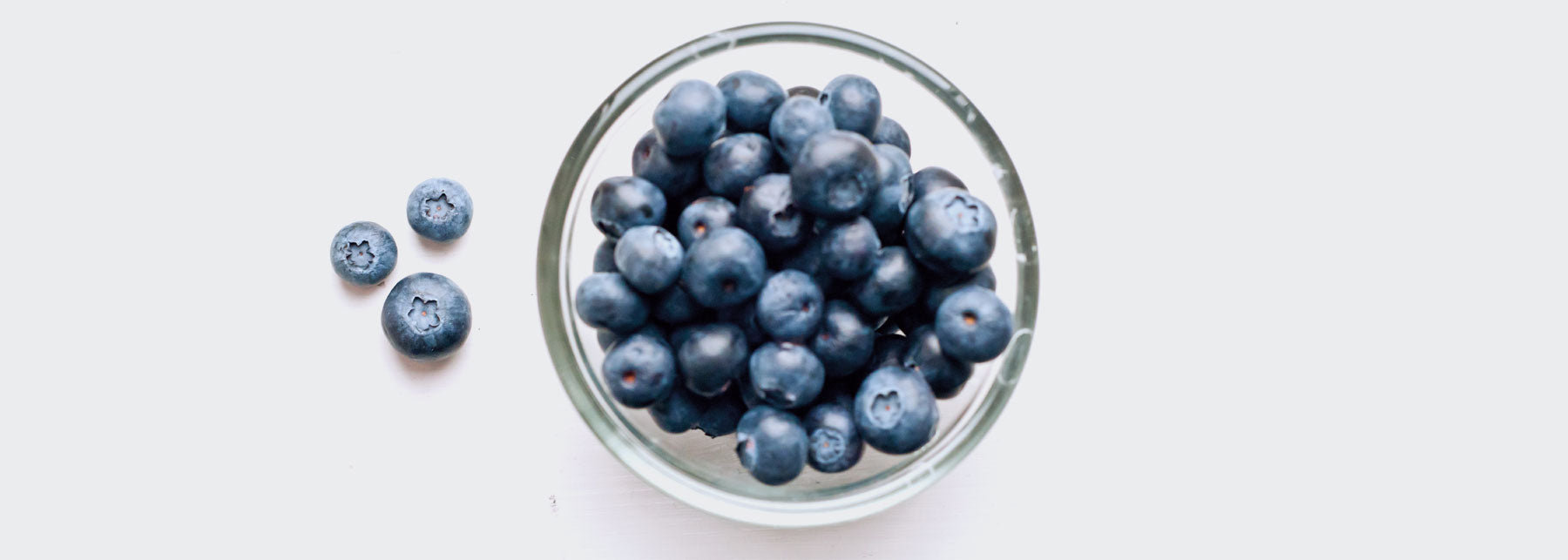 Bilberry