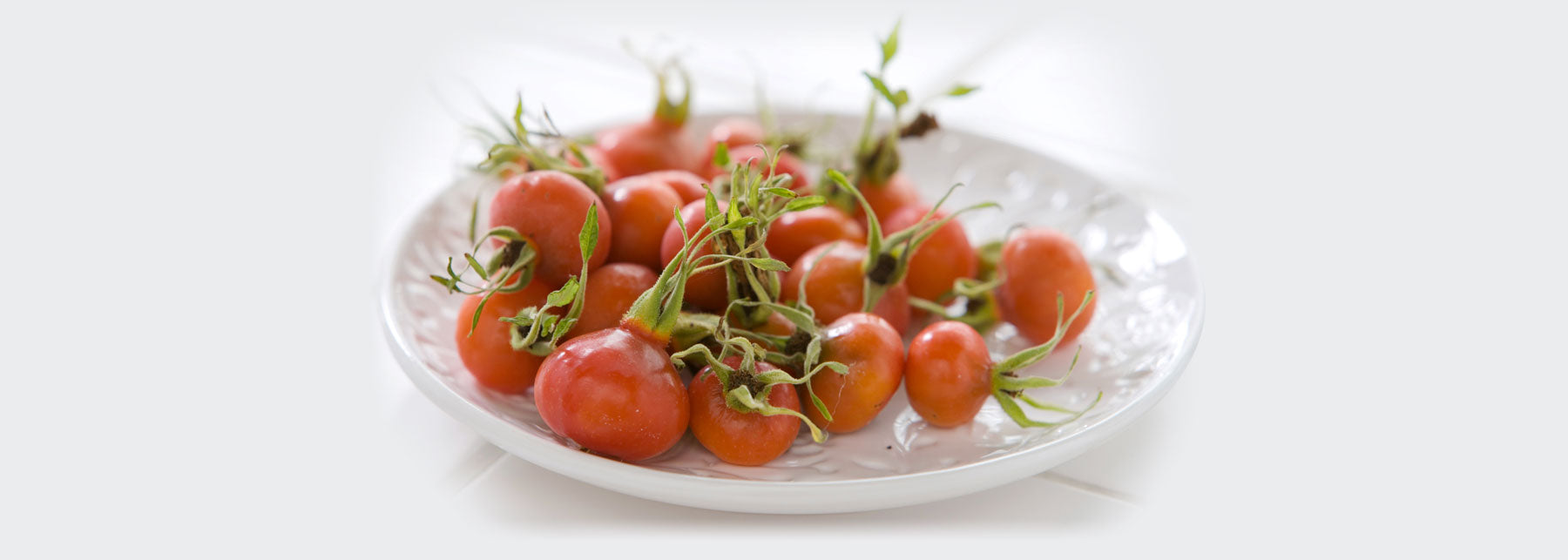 Rose Hips