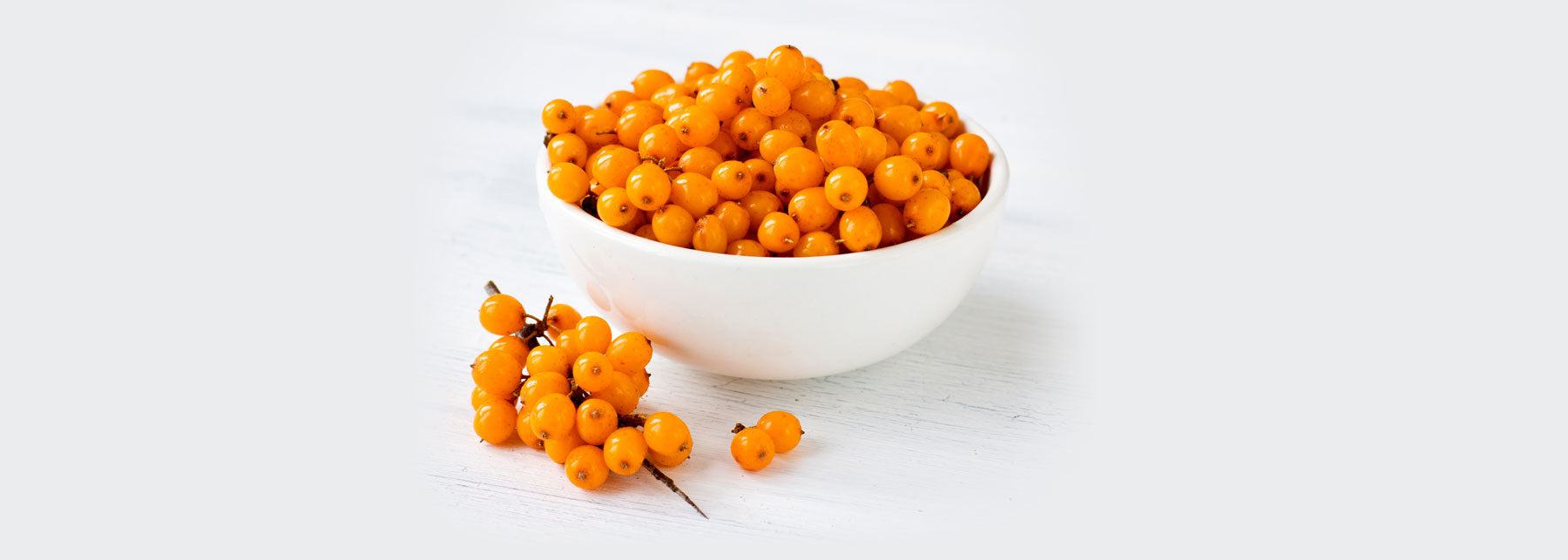 Sea Buckthorn